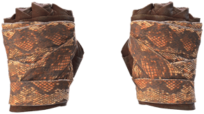Constrictor image