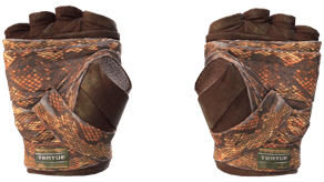 Constrictor image