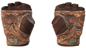 Constrictor image