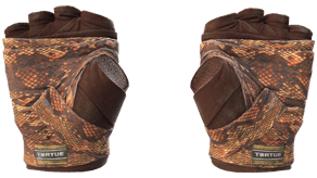 Constrictor image