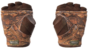 Constrictor image