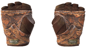 Constrictor image