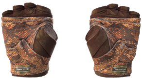 Constrictor image