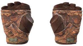 Constrictor image