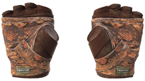 Constrictor image