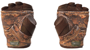 Constrictor image