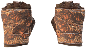 Constrictor image