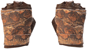 Constrictor image