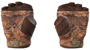 Constrictor image