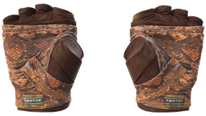 Constrictor image