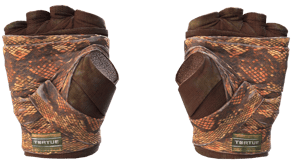 Constrictor image