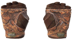 Constrictor image