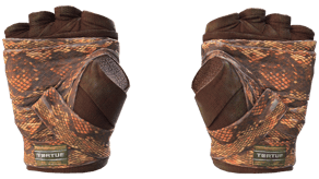 Constrictor image