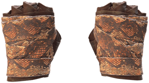 Constrictor image