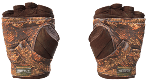 Constrictor image