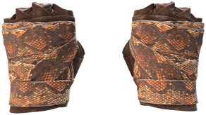Constrictor image