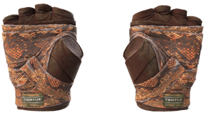 Constrictor image