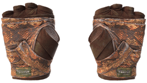 Constrictor image