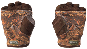 Constrictor image