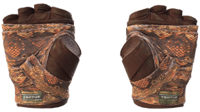 Constrictor image