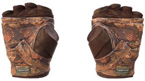 Constrictor image
