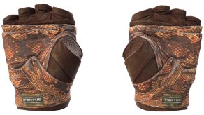 Constrictor image