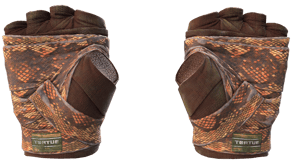 Constrictor image