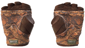 Constrictor image