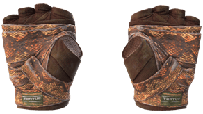 Constrictor image
