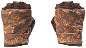 Constrictor image