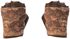 Constrictor image