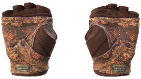 Constrictor image