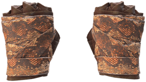Constrictor image