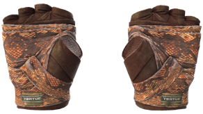 Constrictor image