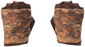 Constrictor image