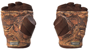 Constrictor image