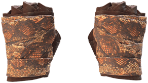 Constrictor image