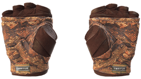 Constrictor image