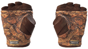 Constrictor image