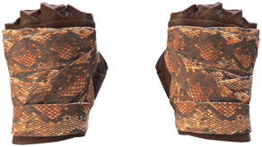Constrictor image