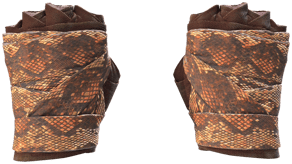 Constrictor image
