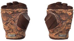 Constrictor image