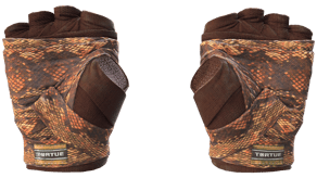 Constrictor image
