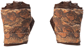 Constrictor image
