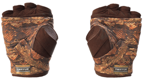 Constrictor image