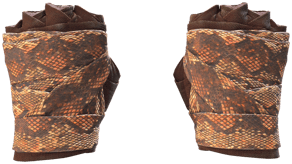 Constrictor image