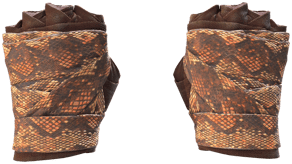 Constrictor image