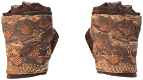 Constrictor image