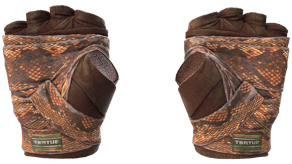 Constrictor image