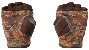 Constrictor image